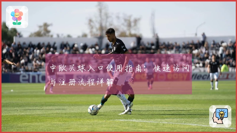中欧买球入口使用指南：快速访问与注册流程详解