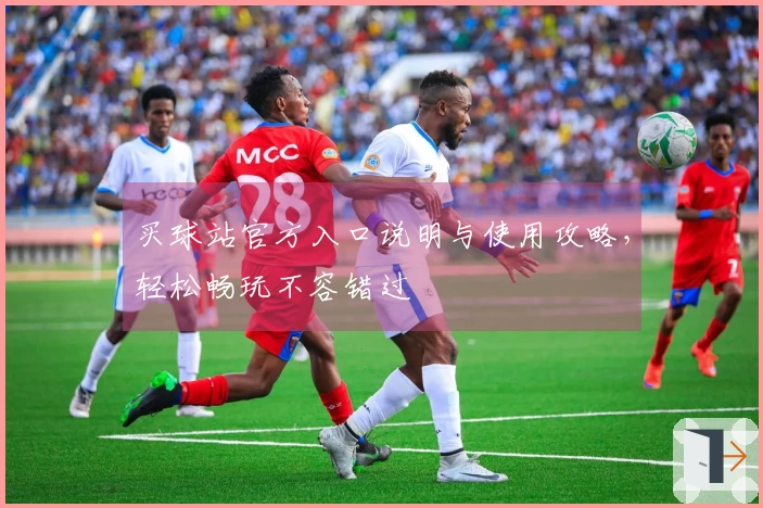 买球站官方入口说明与使用攻略，轻松畅玩不容错过