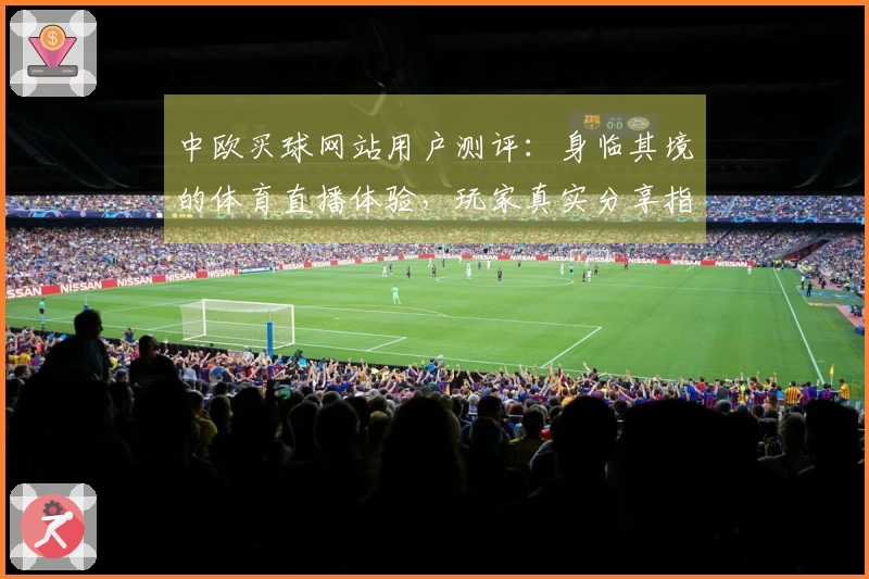 中欧买球网站用户测评：身临其境的体育直播体验，玩家真实分享指南