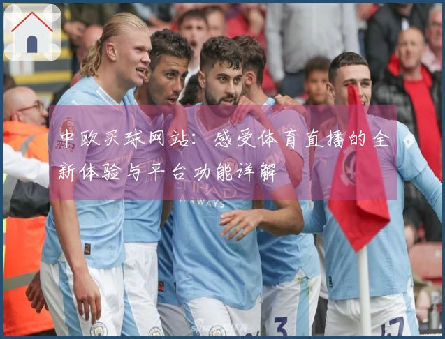 中欧买球网站：感受体育直播的全新体验与平台功能详解