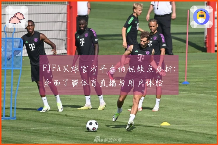 FIFA买球官方平台的优缺点分析：全面了解体育直播与用户体验